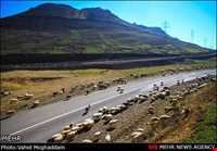 گردنه الماس