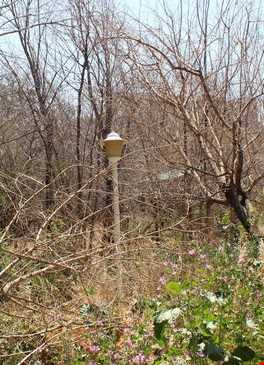 خانه وثوق الدوله