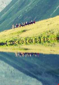 پارک جنگلی قفقاز