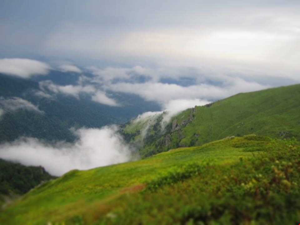 پارک جنگلی قفقاز