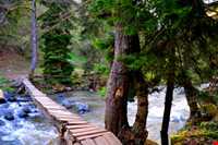 پارک جنگلی قفقاز