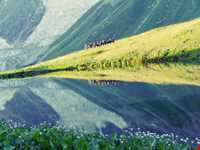 پارک جنگلی قفقاز