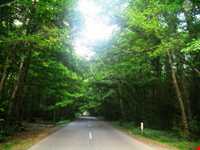 پارک جنگلی گیسوم ( درستکار )