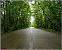 پارک جنگلی گیسوم ( درستکار )