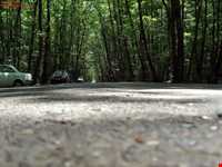 Gisoum Forest Park ( Gisoom )