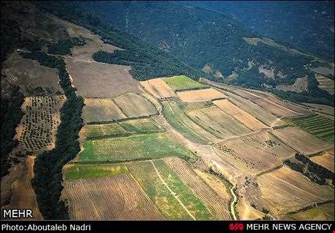 جنگل هیرکانی