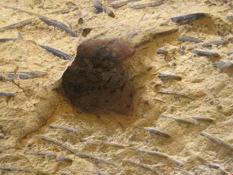 غار بینه لر