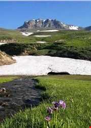 روستای دیزج