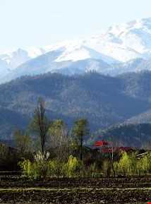 قله سمام ( قله و جنگل سماموس )