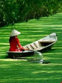 دلتای رود مکونگ