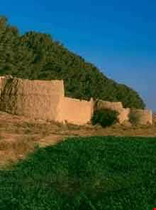 باغ و قلعه مود - بیرجند