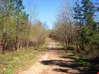 پارک جنگلی سراوان