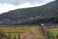 پارک جنگلی سراوان