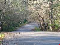 پارک جنگلی سراوان