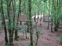 پارک جنگلی سراوان