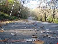 پارک جنگلی سراوان