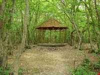 پارک جنگلی سراوان