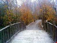 پارک جنگلی سراوان