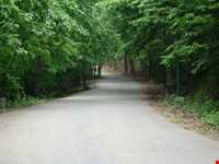 پارک جنگلی سراوان