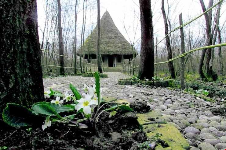 پارک جنگلی سراوان