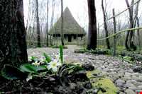 پارک جنگلی سراوان