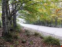 پارک جنگلی سراوان