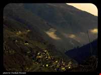 پارک جنگلی ماسوله