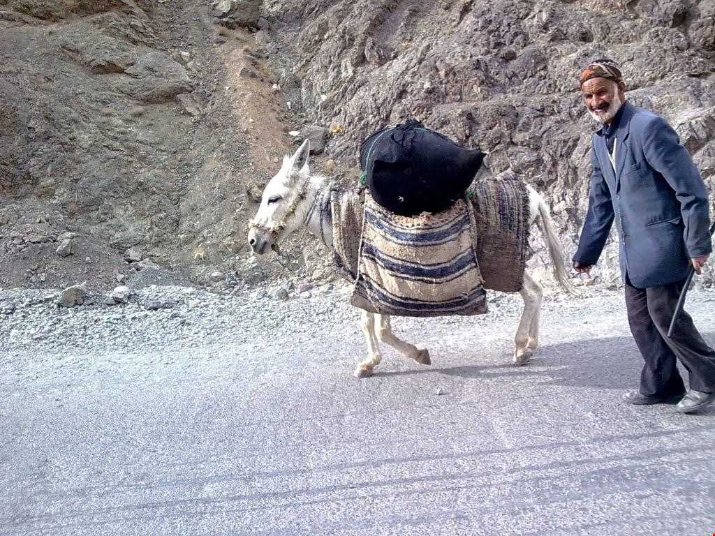 South Khorasan Proverbs