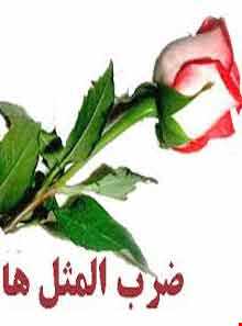 ضرب المثل‌های خراسان جنوبی