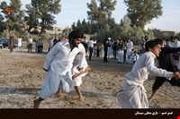 ارهنگ ارهنگ اسب چه رنگ ؟