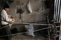 بازار بروجرد