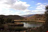 منطقه شکار ممنوع تالابهای پلدختر