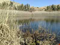 منطقه شکار ممنوع تالابهای پلدختر