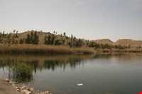 منطقه شکار ممنوع تالابهای پلدختر