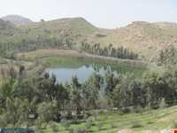 منطقه شکار ممنوع تالابهای پلدختر