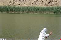 منطقه شکار ممنوع تالابهای پلدختر