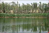 تالاب بیشه دالان بروجرد