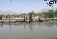 تالاب بیشه دالان بروجرد