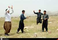 بازی دال پلو