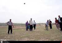 بازی دال پلو