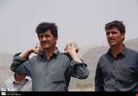 بازی دال پلو