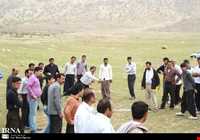 بازی دال پلو