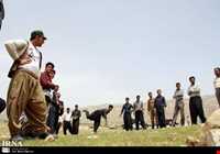 بازی دال پلو