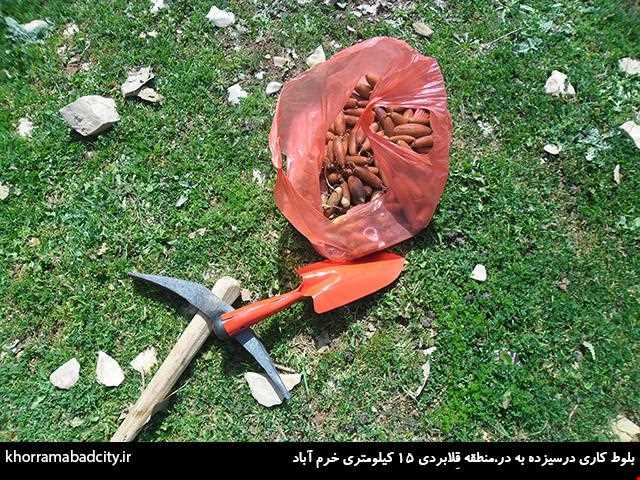 Shanbeh Be Dar Va Sizdah Be Dar