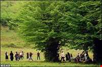 Shanbeh Be Dar Va Sizdah Be Dar