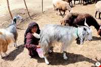 برخی از باور‌ها و اعتقادات مردم لرستان