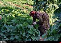 برخی از باور‌ها و اعتقادات مردم لرستان