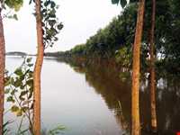 مجموعه تالابی سراندون و بالندون