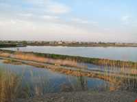 مجموعه تالابی سراندون و بالندون