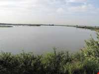 مجموعه تالابی سراندون و بالندون